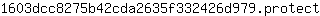 1***t