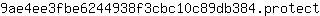 9***t