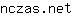 n***t