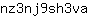 n***a