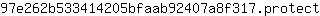 9***t