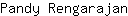 P***n