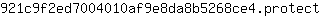 9***t