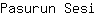 P***i