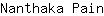 N***n