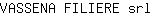 V***l