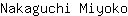 N***o