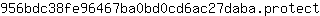 9***t