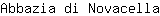 A***a