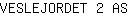 V***S