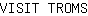V***S