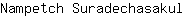 N***l