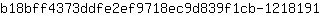 b***1
