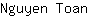 N***n