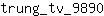 t***0