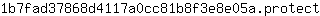 1***t