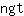 n***t