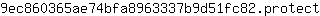 9***t