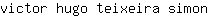 v***n
