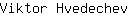 V***v