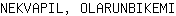 N***I