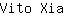 V***a