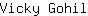 V***l