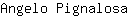 A***a