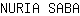 N***A