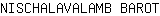 N***T