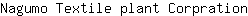 N***n