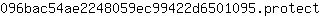 0***t