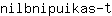 n***t