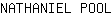 N***L