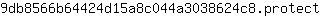 9***t