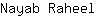 N***l