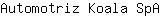 A***A