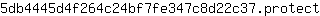 5***t