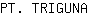P***A