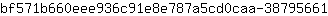 b***1