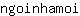 n***i