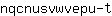 n***t