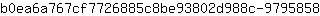 b***8