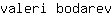 v***v