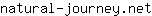 n***t
