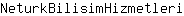 N***i