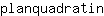 p***n