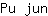 P***n