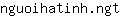 n***t