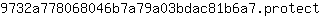 9***t